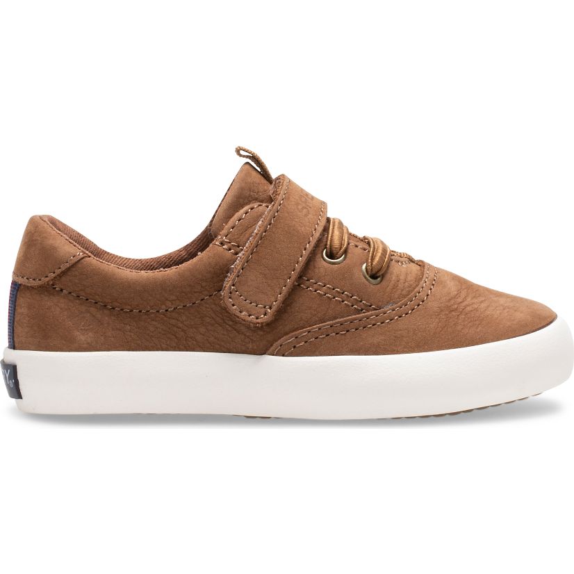 Boys hot sale sperry sneakers